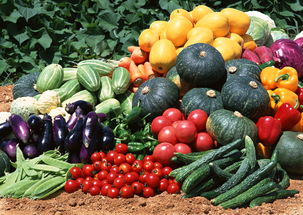 山西曝光10批次不合格食品，小食杂也上榜了！